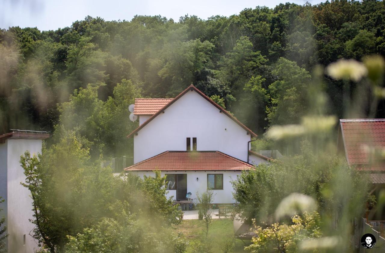 Vilafrancisca10 Alba Iulia Exteriör bild
