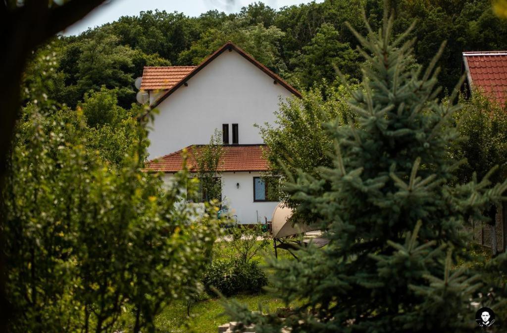 Vilafrancisca10 Alba Iulia Exteriör bild